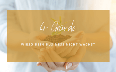 4 Gründe, wieso dein Business nicht wächst